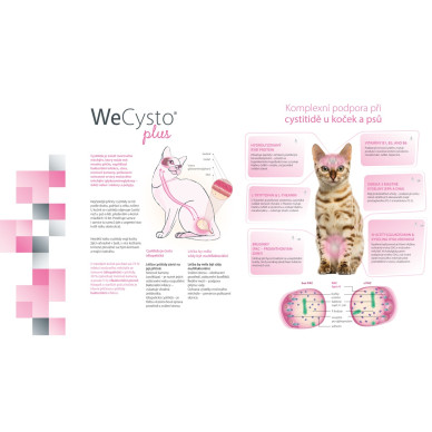 WeCysto Plus – Hrană Complementară Nutritivă pentru Susținerea Tractului Urinar la Câini și Pisici, 50 ml – WePharm